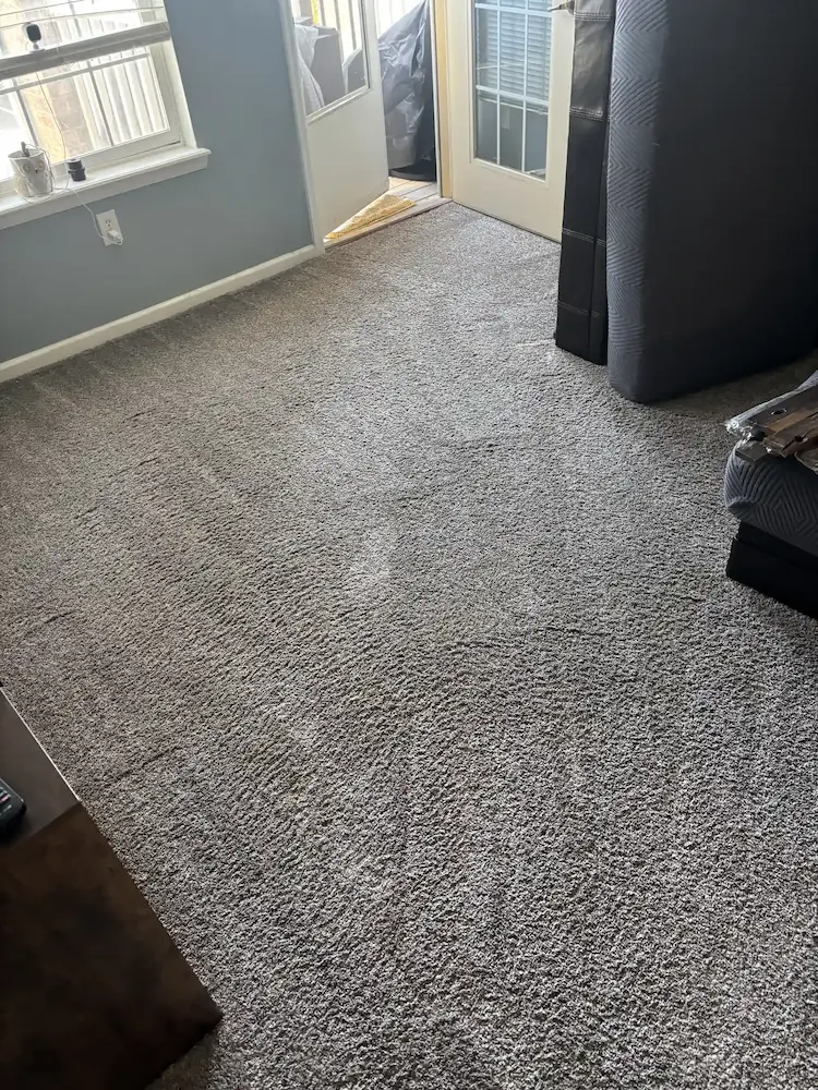 How Much Does Carpet Cleaning Cost in Castle Rock, CO?