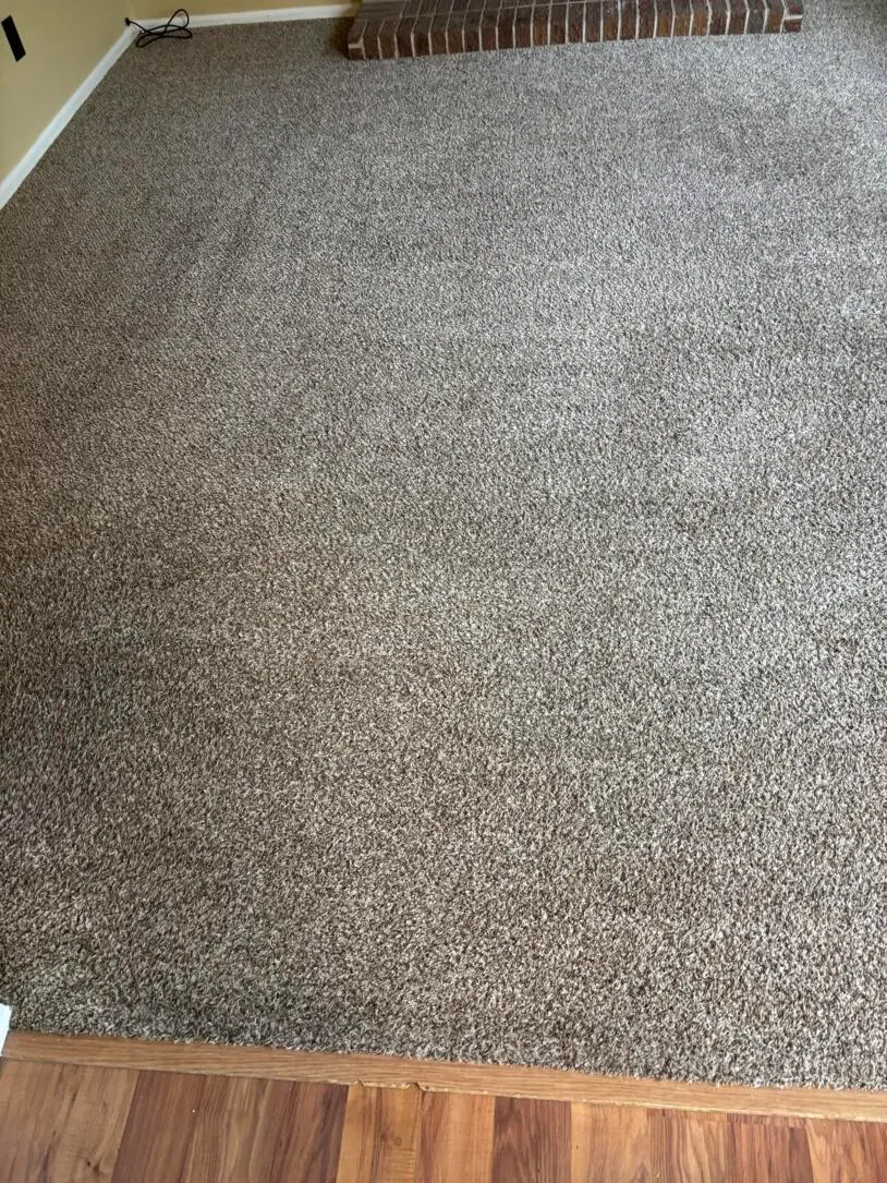 After — clean beige nylon carpet, same room, post-extraction