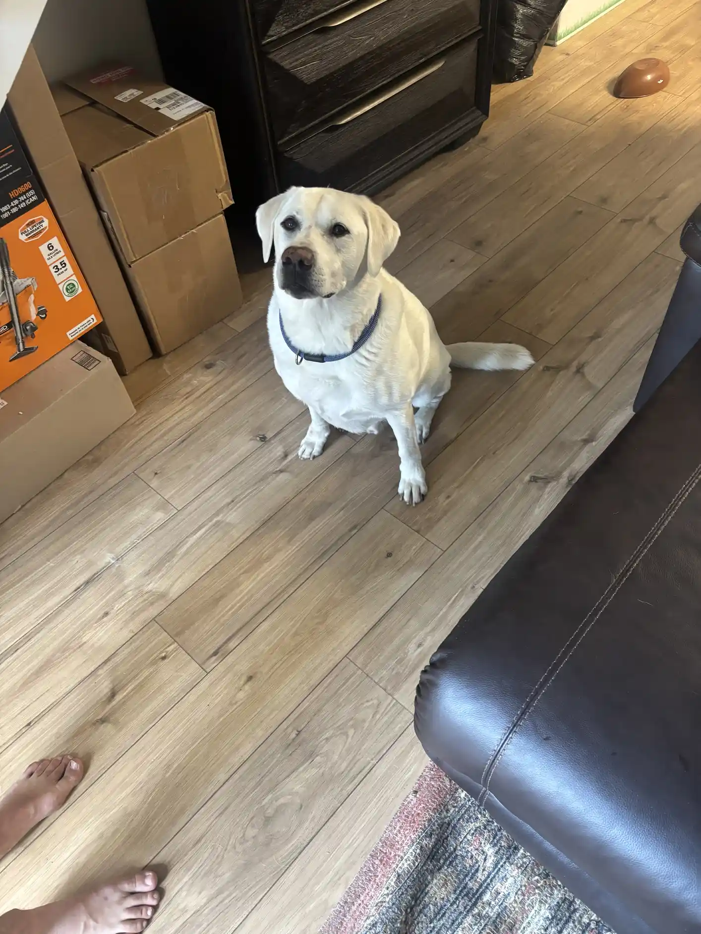 Parker Clarke Farms — Pet Stain Submersion Method Nylon Carpet — Spot Report