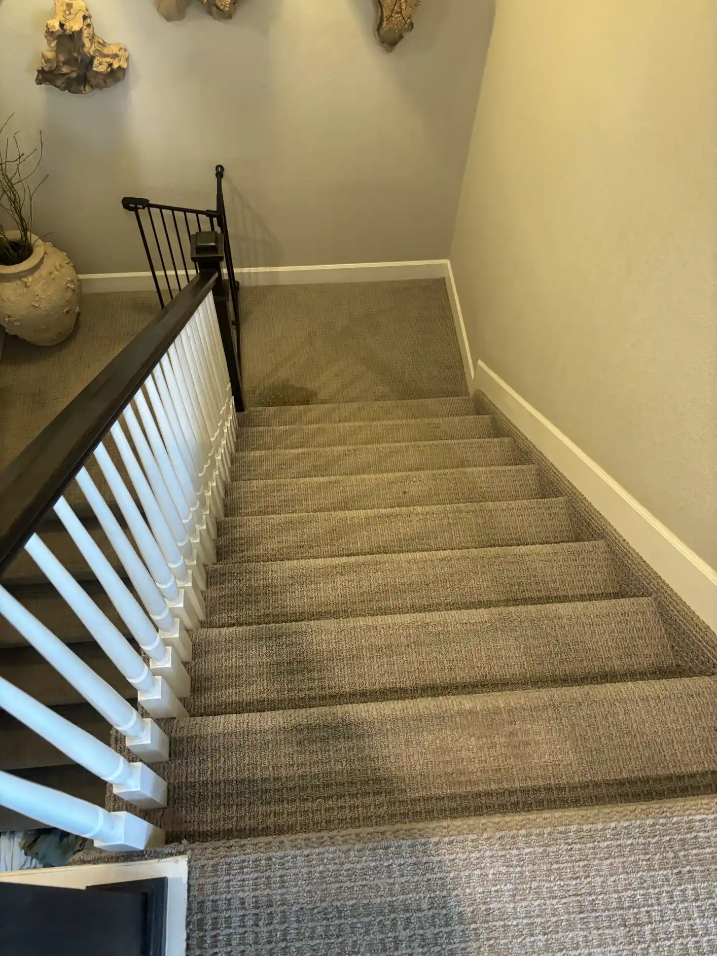 staircase cleaned, traffic lanes cleared