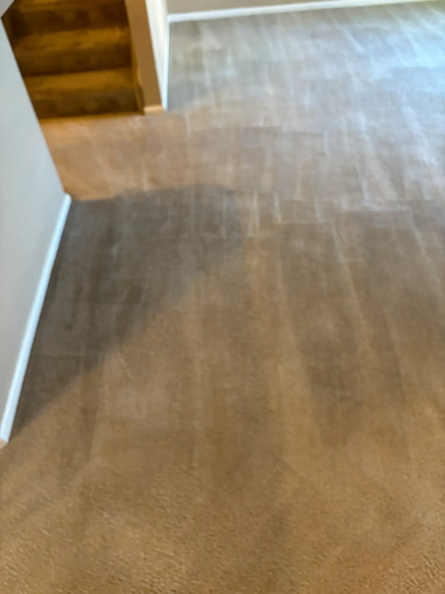 Morrison Red Rocks Area Commercial Emergency Carpet Cleaning