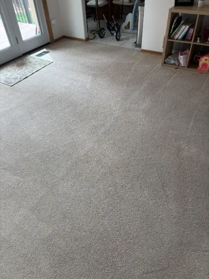 Centennial Wool Carpet Enzyme Cleaning