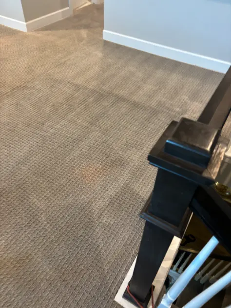 Colorado Choice Fast Dry Method | Centennial, CO Carpet Cleaning