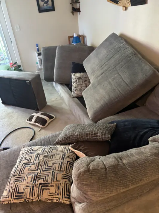 Centennial Upholstery Wool and Natural Fiber Cleaning