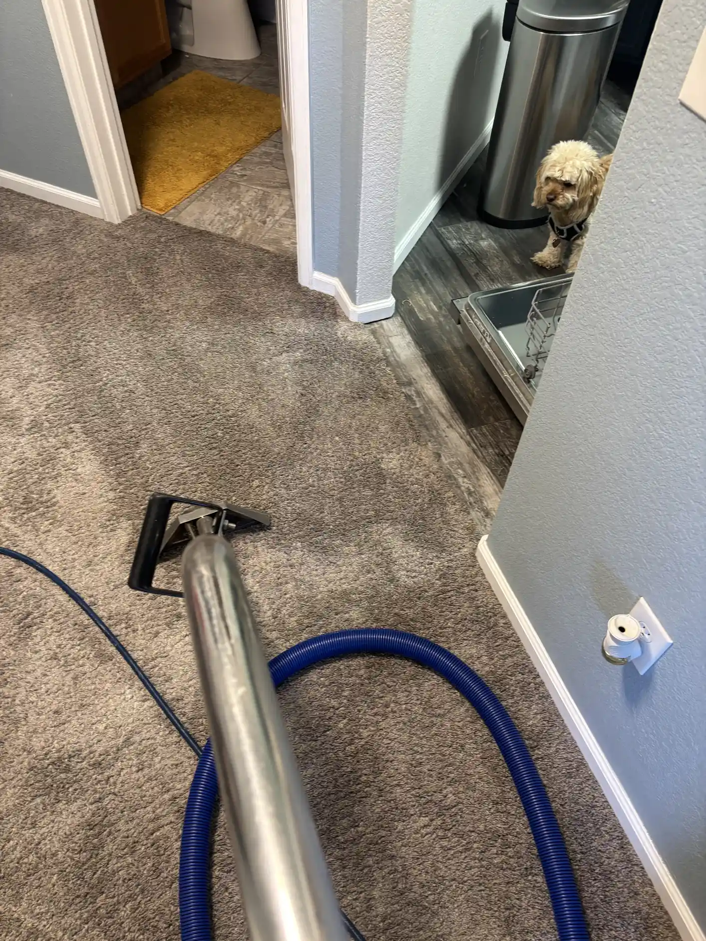 During cleaning
