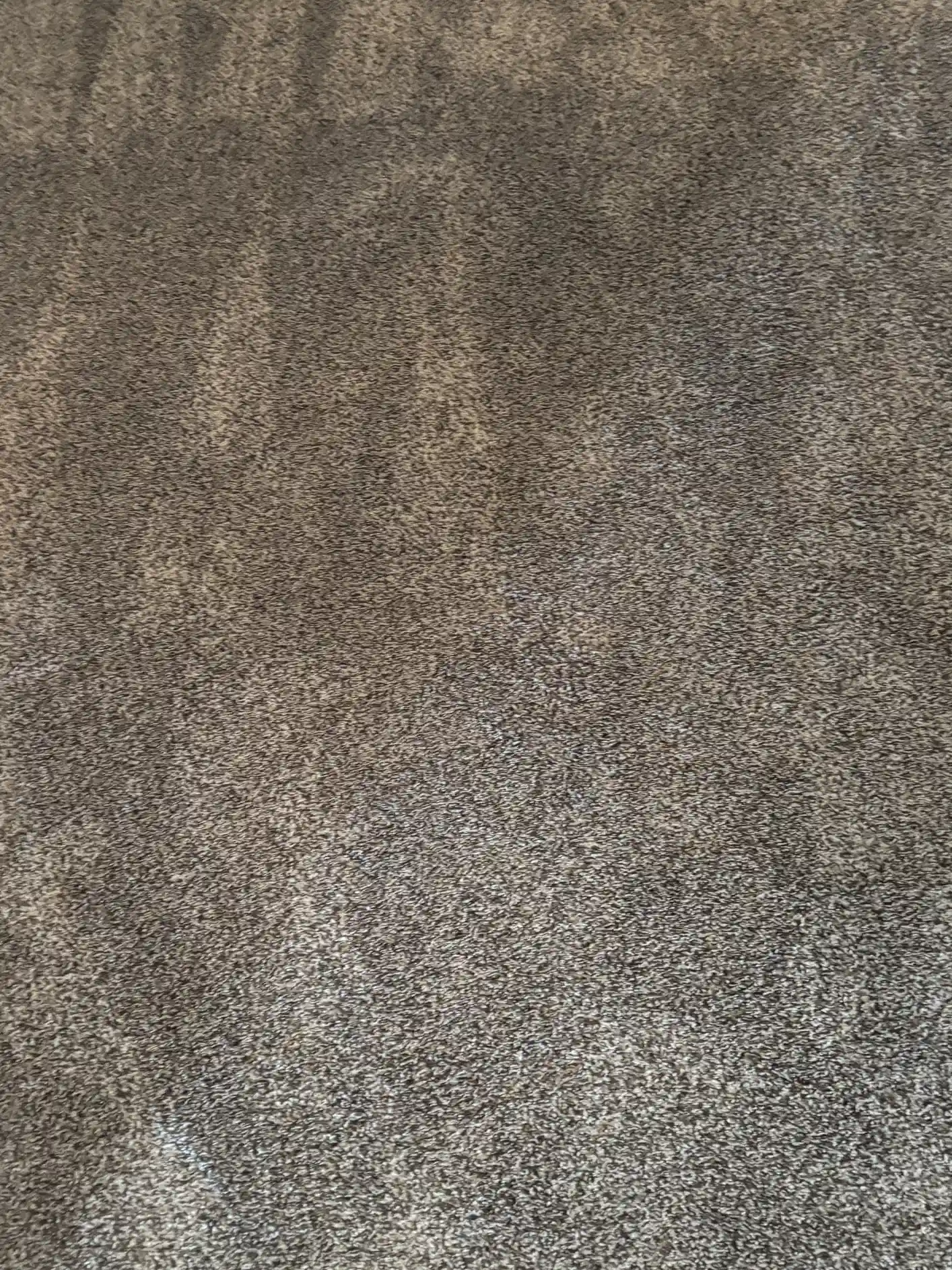 Highlands Ranch Carpet Cleaning — Elderly Dog Red Hue Nylon Cut Berber Move-Out