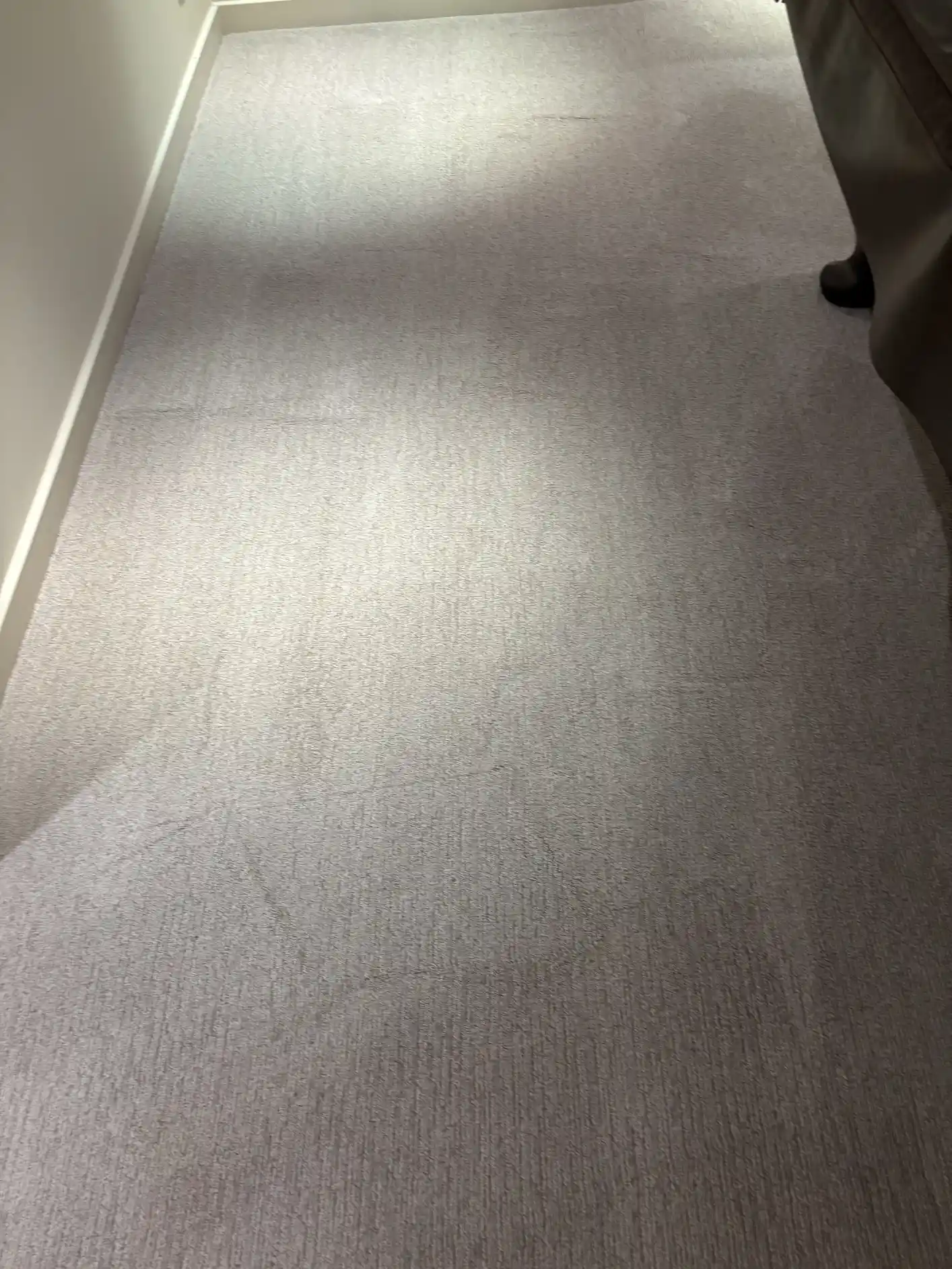 Pet stain after treatment, same angle