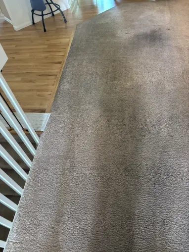 Centennial Same-Day Carpet Cleaning Rental Property Cleaning