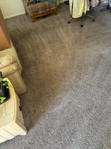 Broomfield Floors Surface Identification Carpet Cleaning