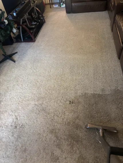 Aurora Floors Water Mineral Deposits Carpet Cleaning