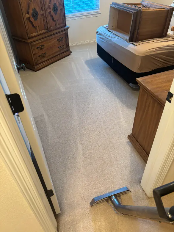 Larkspur Floors Are Dealing With Heating Season Carpet Cleaning