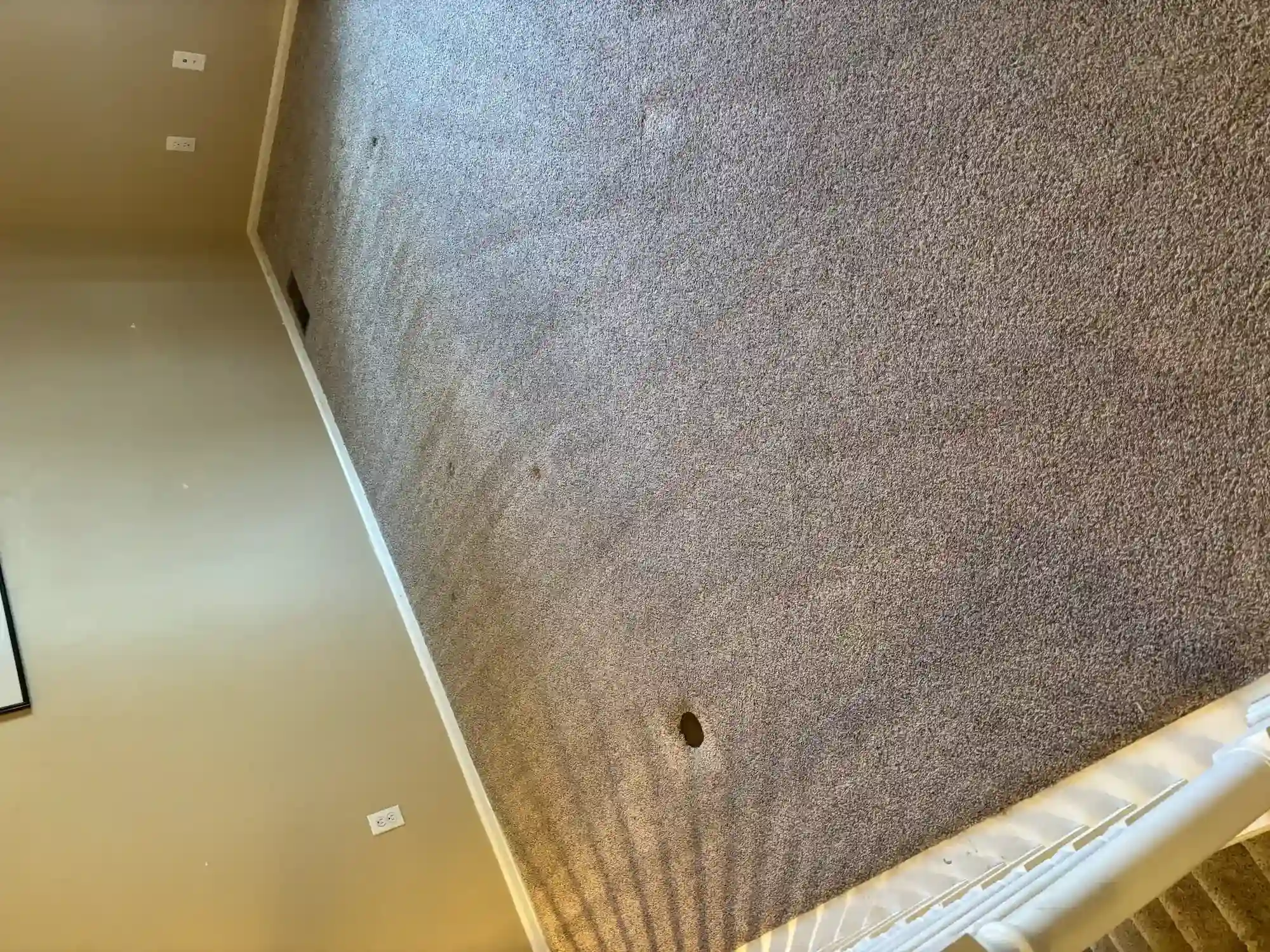 Carpet Cleaning Cost in Castle Rock