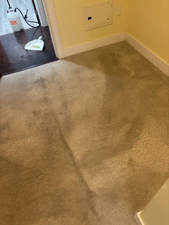 Broomfield Construction Silicate Dust Carpet Cleaning