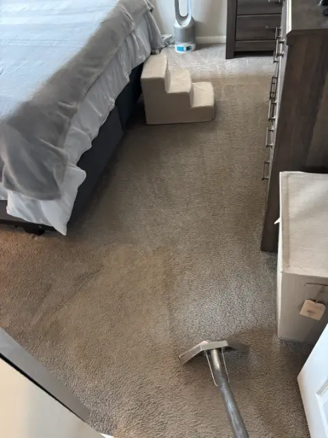 Broomfield Road Treatment Chemical Tracking Carpet Cleaning