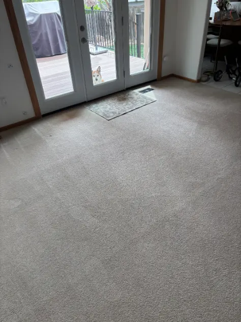 Broomfield Heights Carpet Cleaning