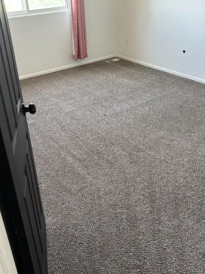 Broomfield Rental Properties — Stain Removal Carpet Cleaning