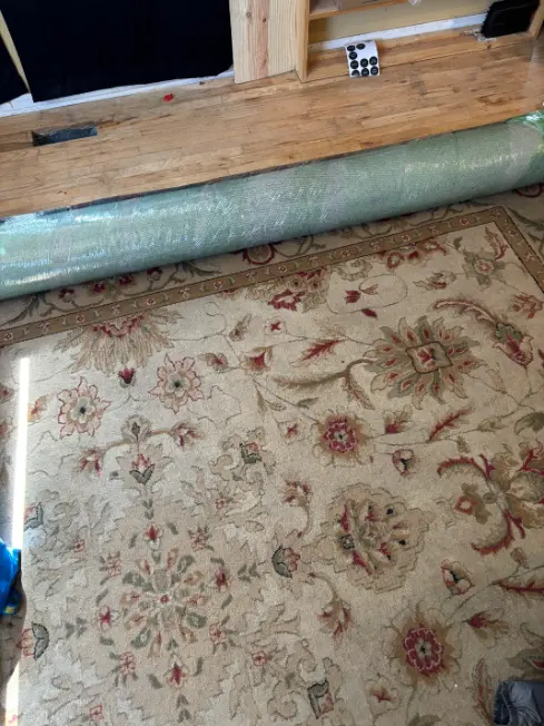 Broomfield Carpet Restoration Treatment Carpet Cleaning