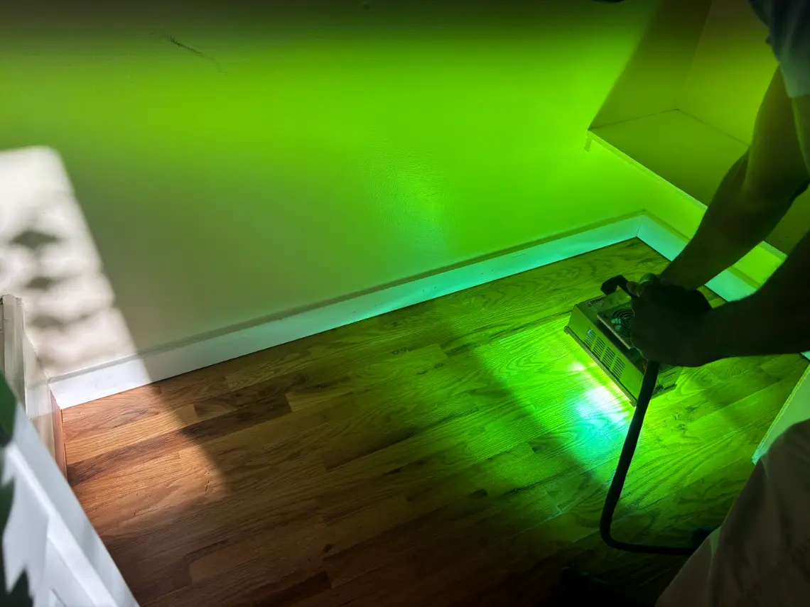 Broomfield  UV Light Topical Enzyme Treatment Carpet Cleaning
