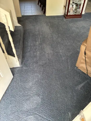Broomfield Interlocken Corridor Commercial Cleaning