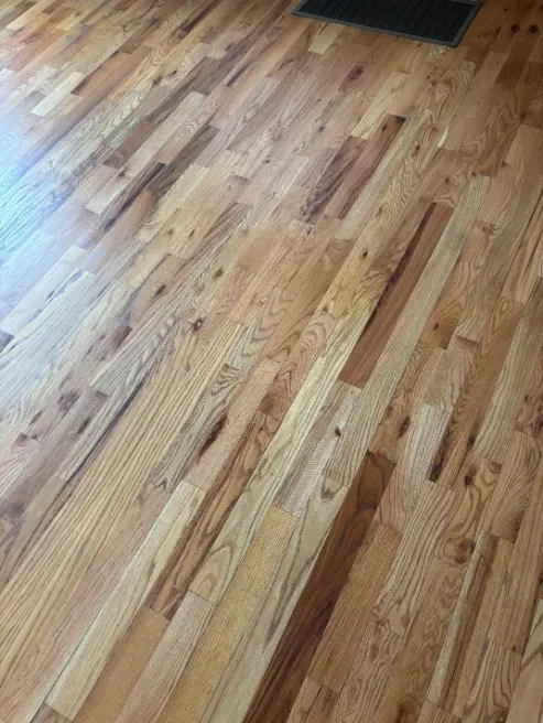 Broomfield LVT Standard Floor Cleaning Damage Restoration