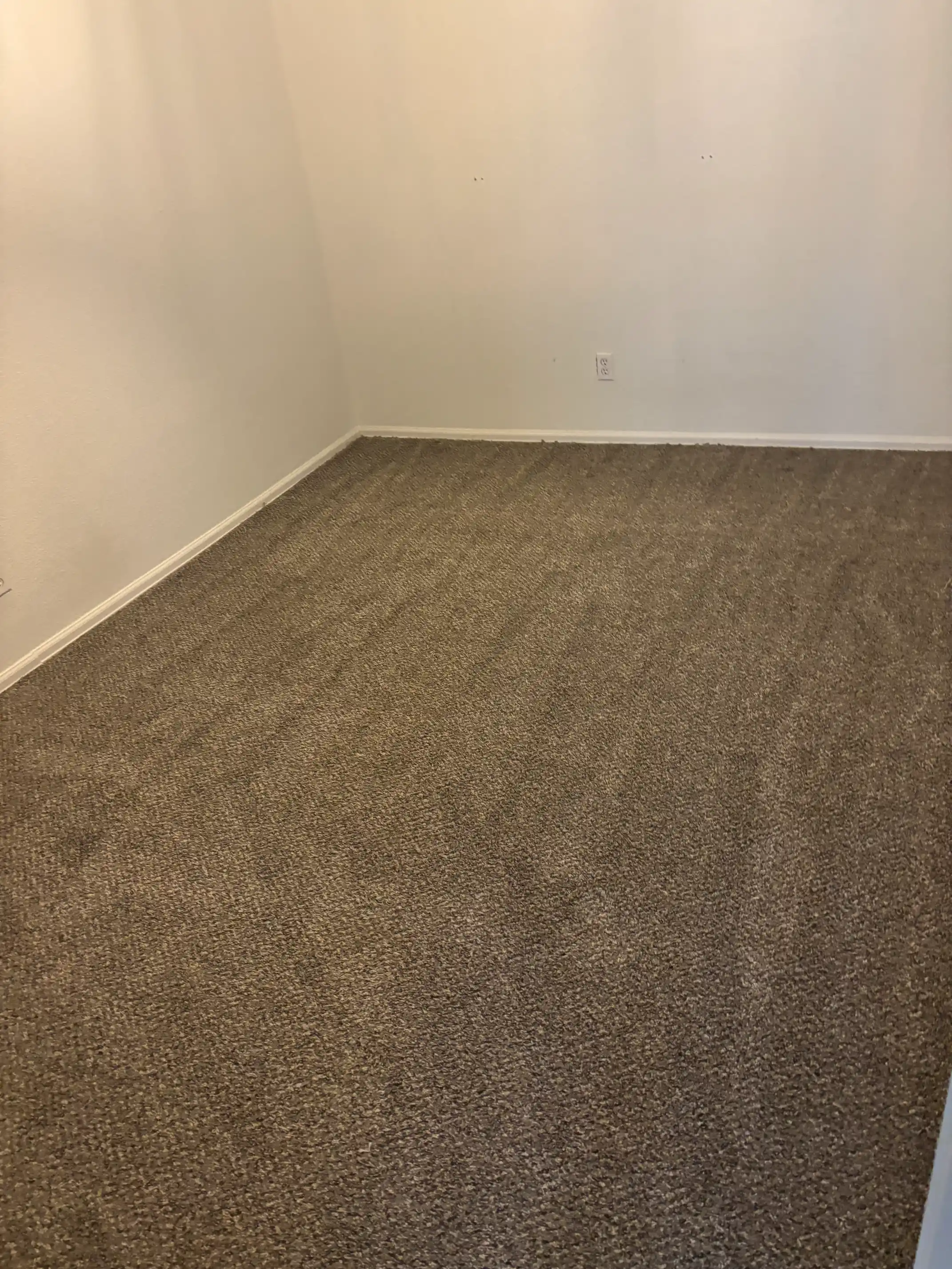 Denver Upholstery Cleaning — Cream Sectional Coffee Stain
