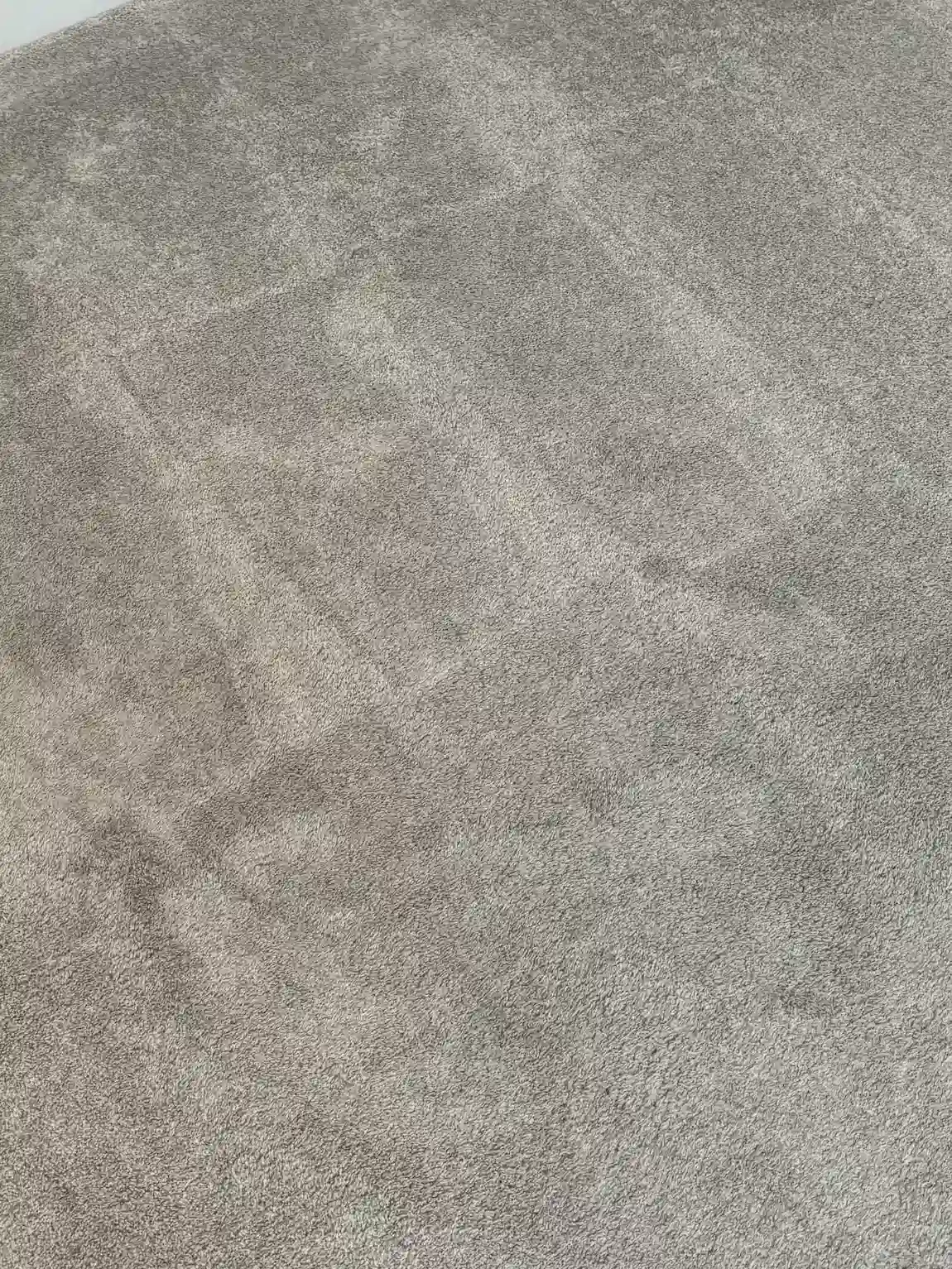 Parker Emergency Same-Day Carpet Cleaning — White Nylon Traffic Lanes Case Study