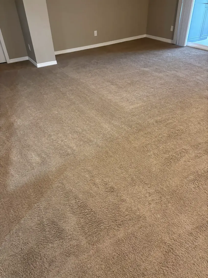 Best Carpet Cleaners in Aurora, CO — Honest Comparison (2026)