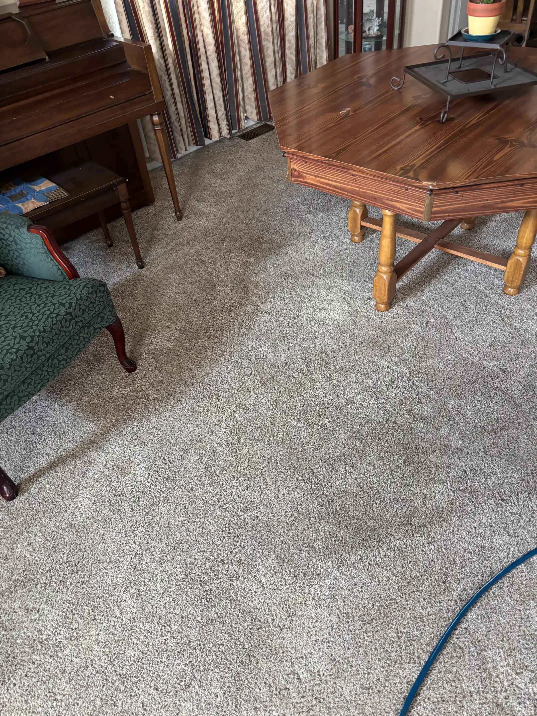 White nylon bedroom carpet beforeafter traffic lane cleaning White nylon bedroom carpet beforeafter traffic lane cleaning
