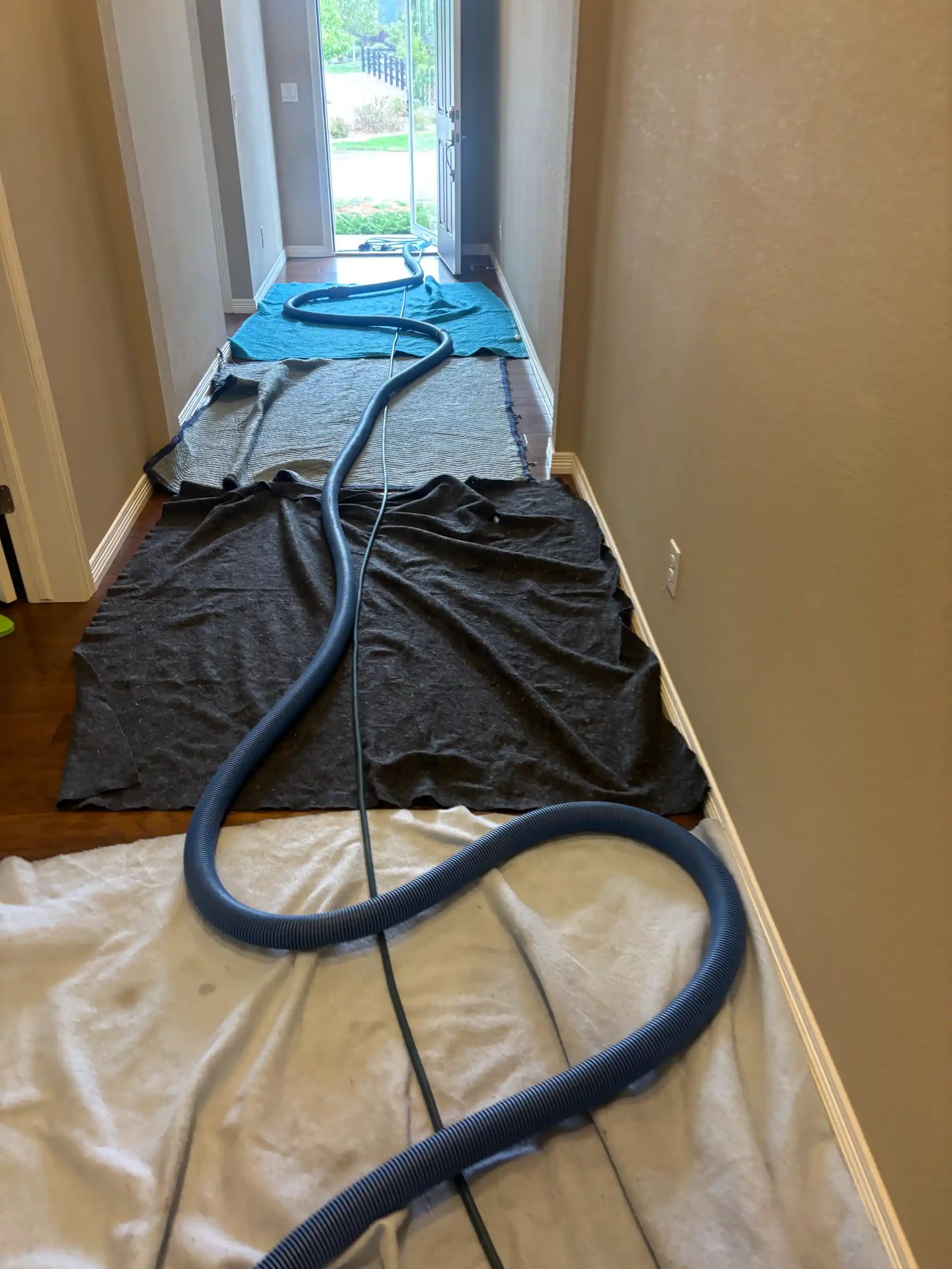How to Choose a Carpet Cleaner in Parker, CO — What Douglas County Homeowners Need to Know