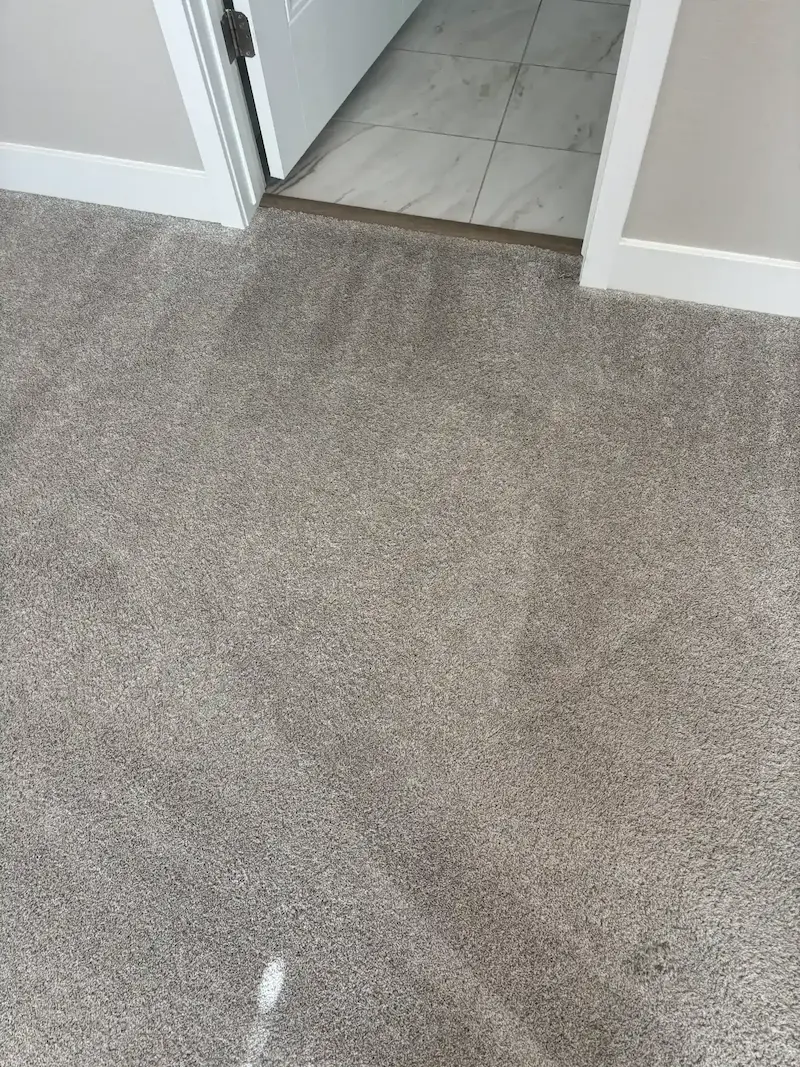 How to Choose a Carpet Cleaner in Aurora, CO — Colorado's Third-Largest City