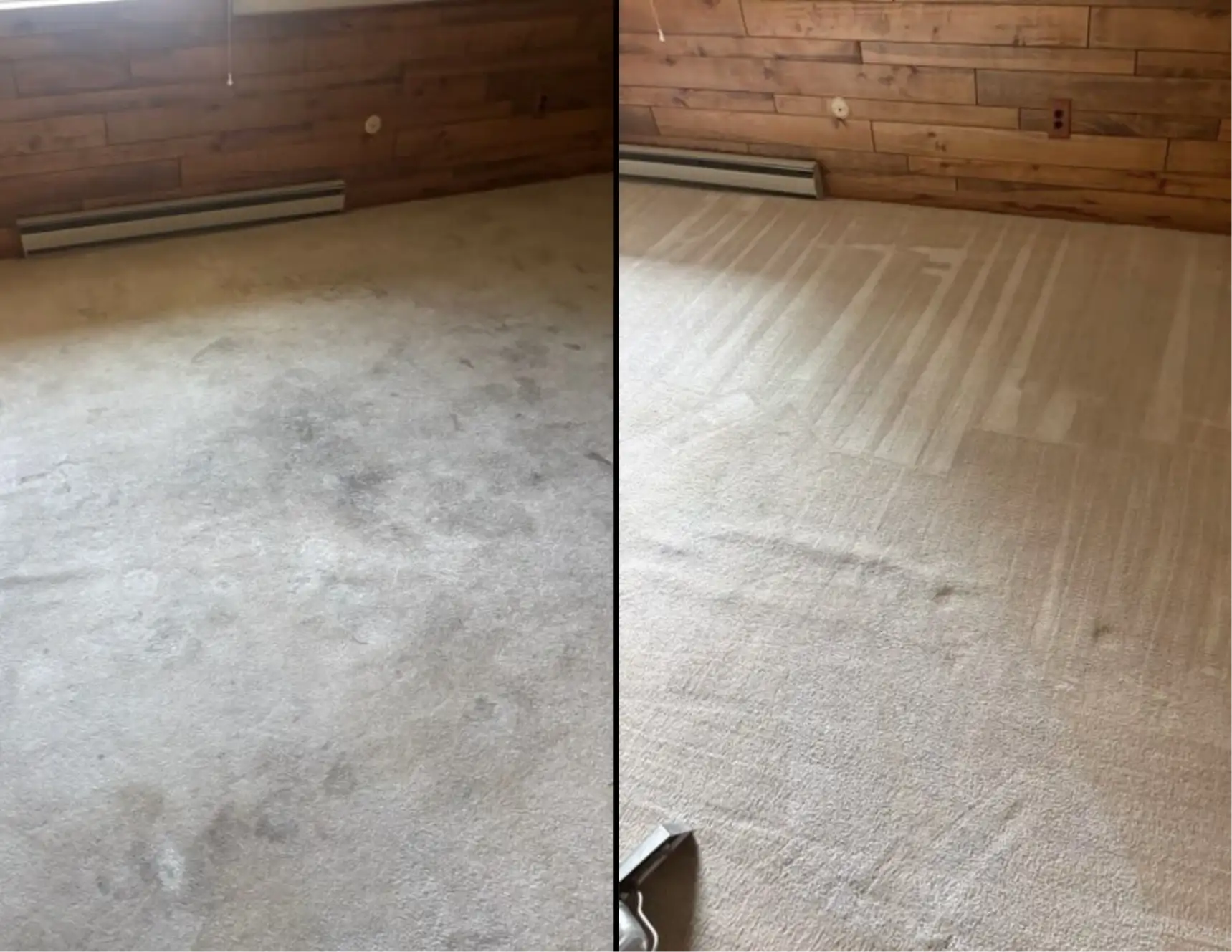 Pet staining in rental units often goes deeper than it looks — enzyme pre-treatment targets the uric acid at the source before extraction