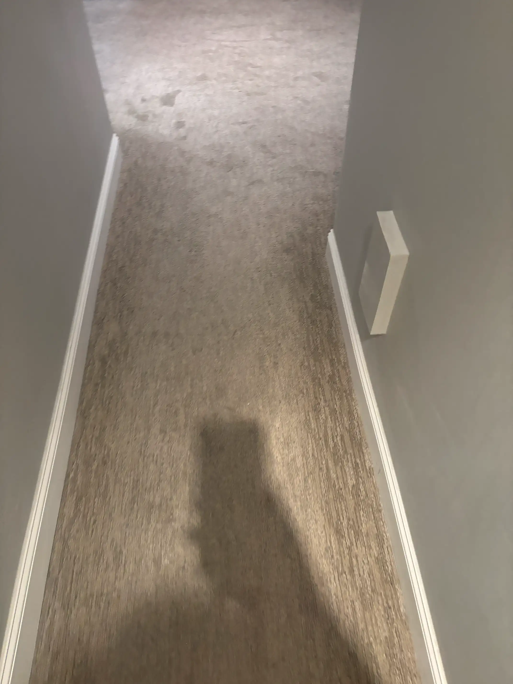 How to Choose a Carpet Cleaner in Castle Pines, CO — 7 Questions to Ask