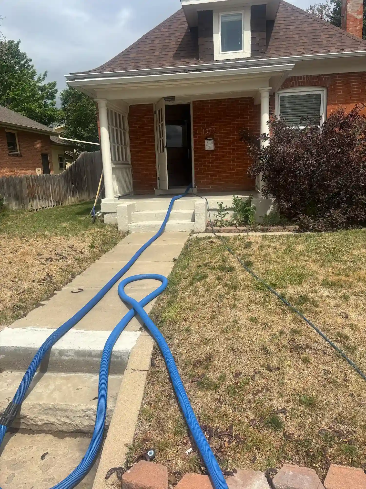 Cannabis Odor & Pet Stain Carpet Cleaning in Englewood, CO | Colorado Choice