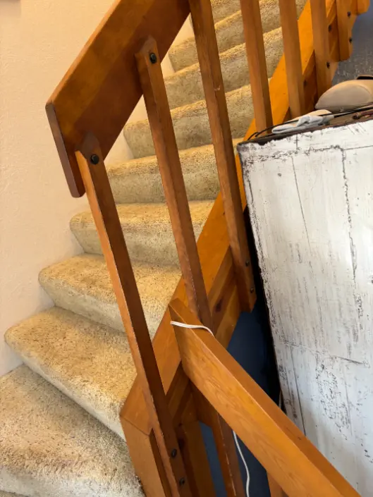 Sedalia Household Organic Tracking Carpet Cleaning