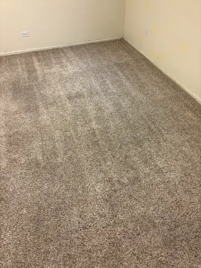 Sedalia Carpet Red Clay Cleaning