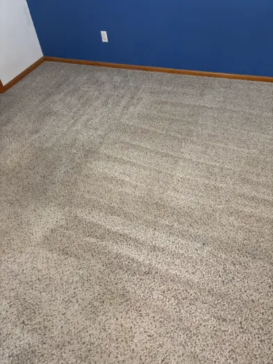 Sedalia Pine Foothills Organic Debris Carpet Cleaning