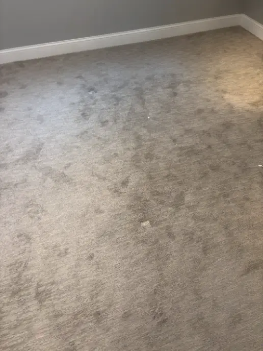 Sedalia Enzyme Products Cleaning