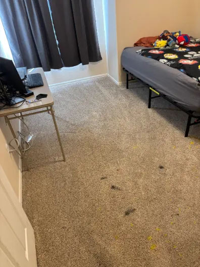 Sedalia Red Clay Stain Cleaning