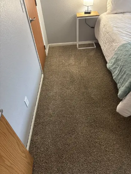 Sedalia Same-Day Real Estate Carpet Cleaning