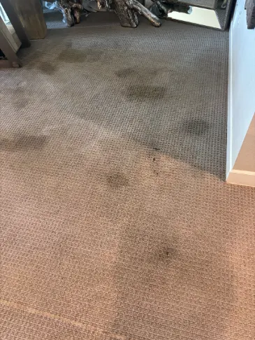 Franktown Carpet Red Clay Cleaning