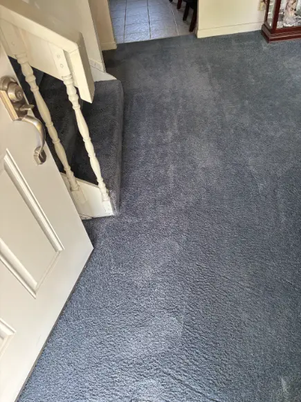 Franktown Households Complex Stain Cleaning