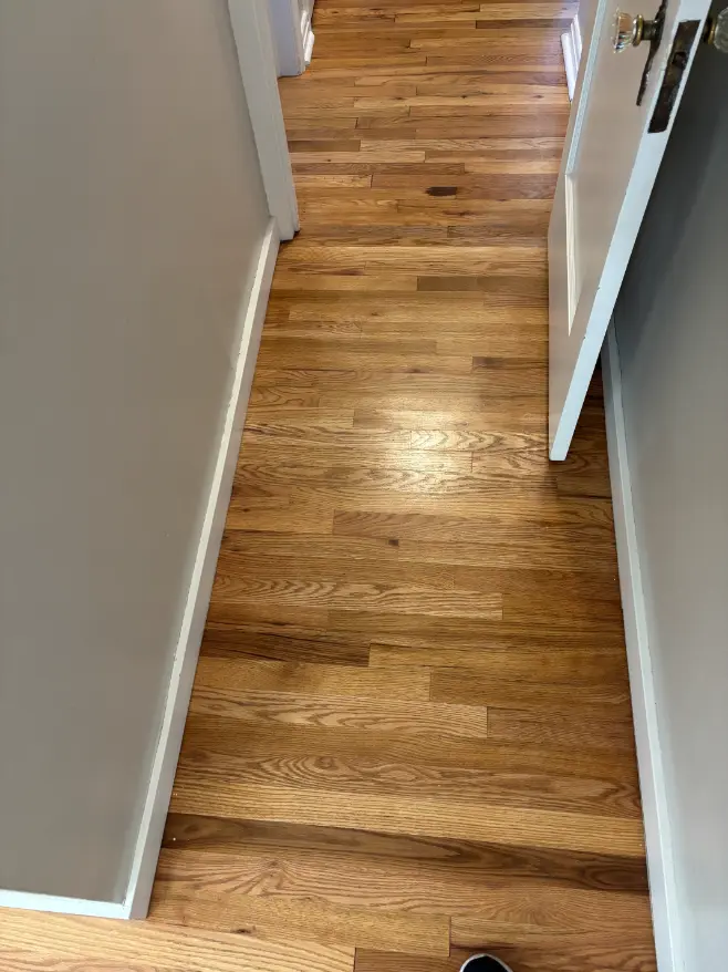Franktown Standard LVT Floor Cleaning Solution