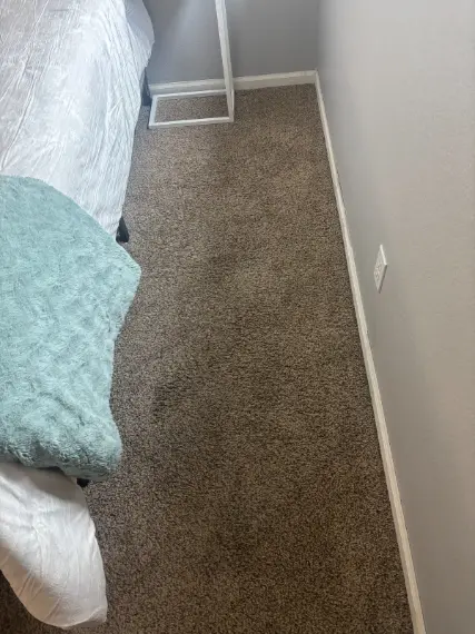 Englewood Flooding Risk Carpet Cleaning