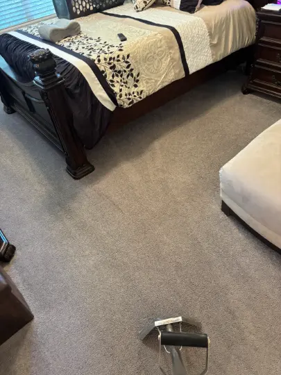 Englewood Upholstery Pet Urine Cleaning
