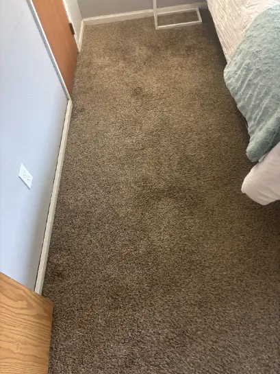 Castle Rock Berber Red Clay Carpet Cleaning