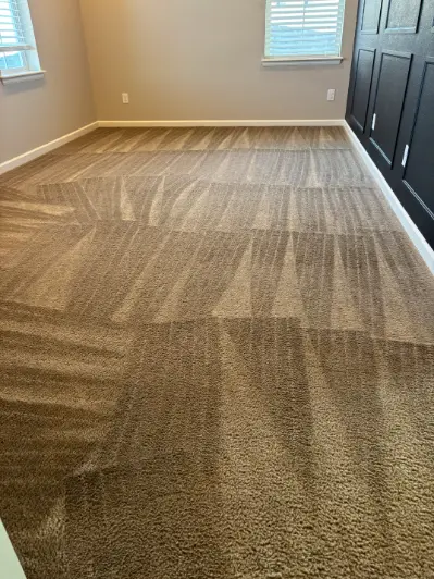 Castle Rock Berber Carpet Cleaning