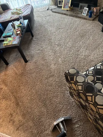 Castle Rock Berber Carpet Cleaning Cost