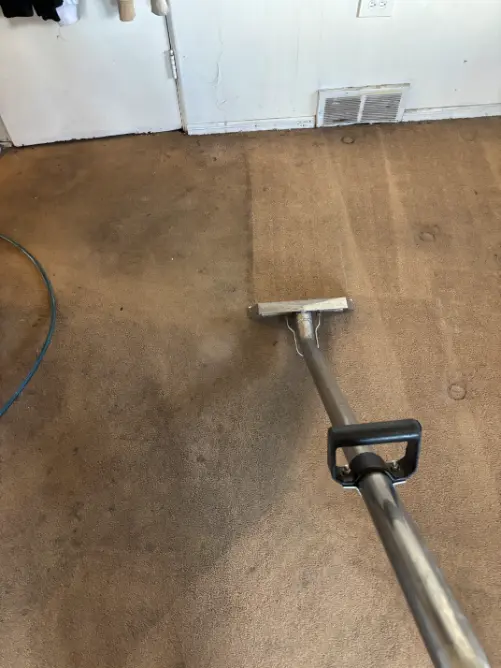 Castle Pines Berber Wool Carpet Cleaning
