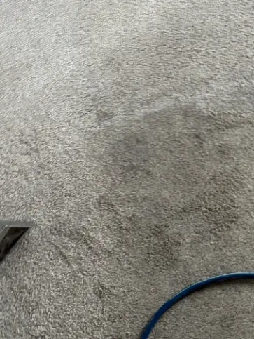 Highlands Ranch Berber Road Treatment Carpet Cleaning