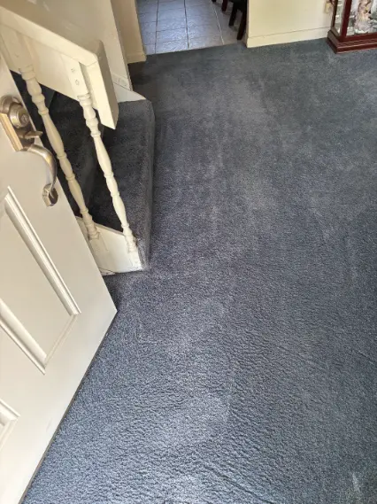 Highlands Ranch Berber Protocol Carpet Cleaning